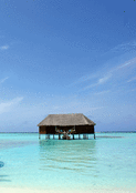 Refuge tropical sur l'eau azur